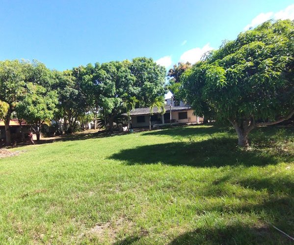 Alquileres vacacionales en Margarita